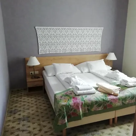 包贾尼库利亚酒店 Zalacsány