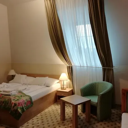 包贾尼库利亚酒店 Zalacsány