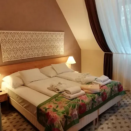 包贾尼库利亚酒店 酒店 Zalacsány