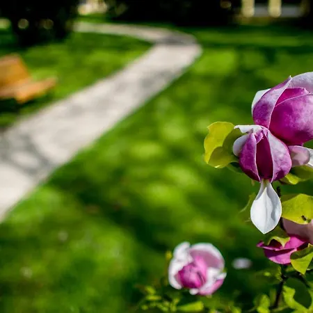 Batthyany Kuria Hotell